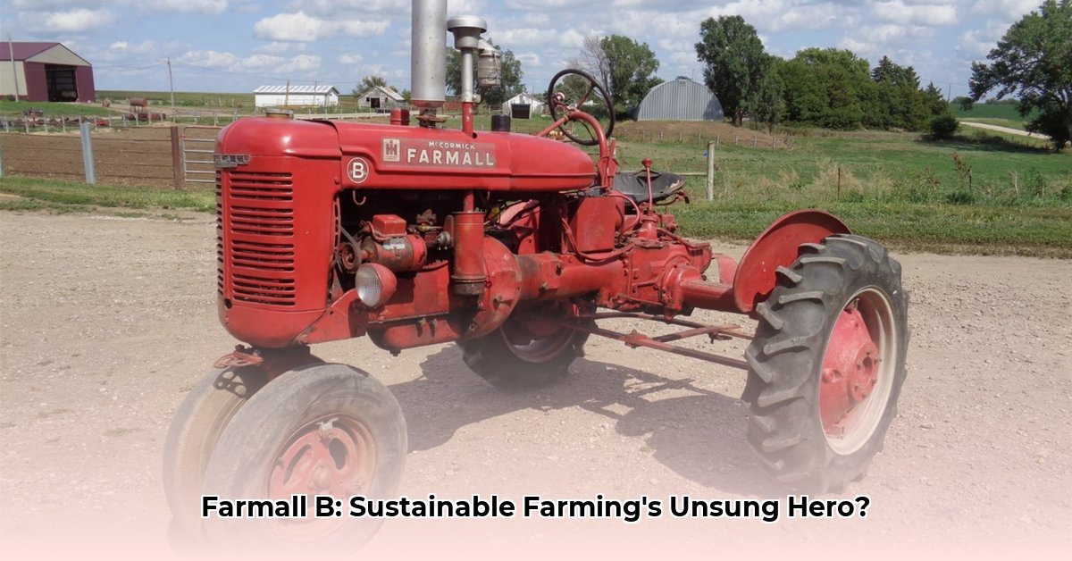 farmall-b-tractor